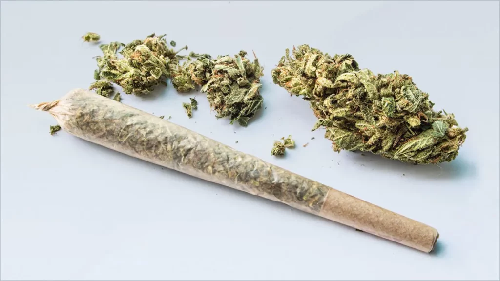 Close up of a preroll and cannabis flower
