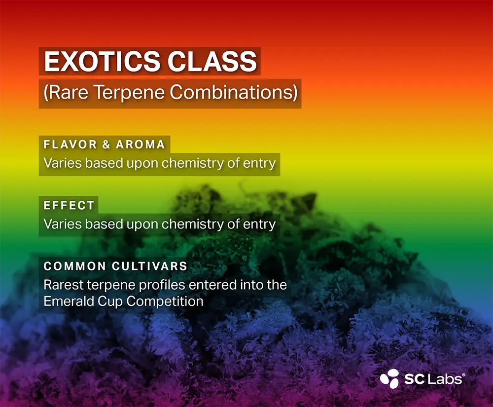 Terpene Class: Exotics | SC Labs