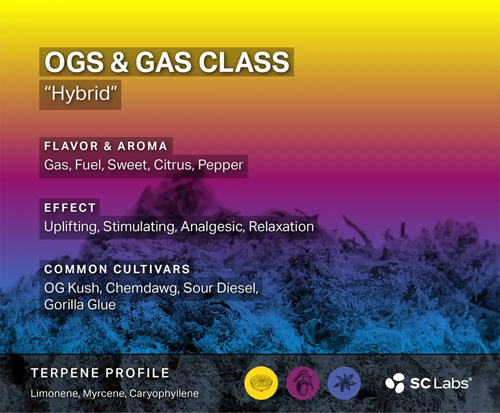 Terpene Class: OGs & Gas | SC Labs