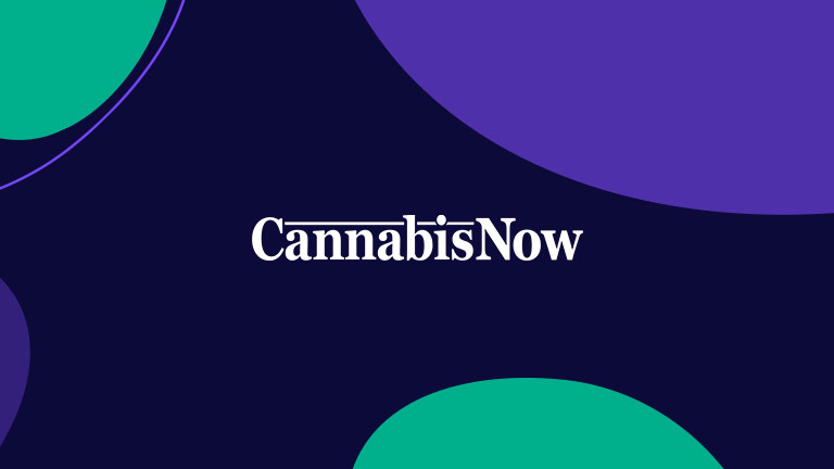 Featured Image Cannabis Now