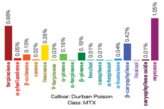 Durban Poison terpene archetype